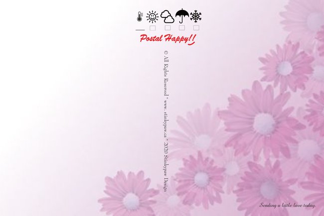 Ladybug on Flower Postcard