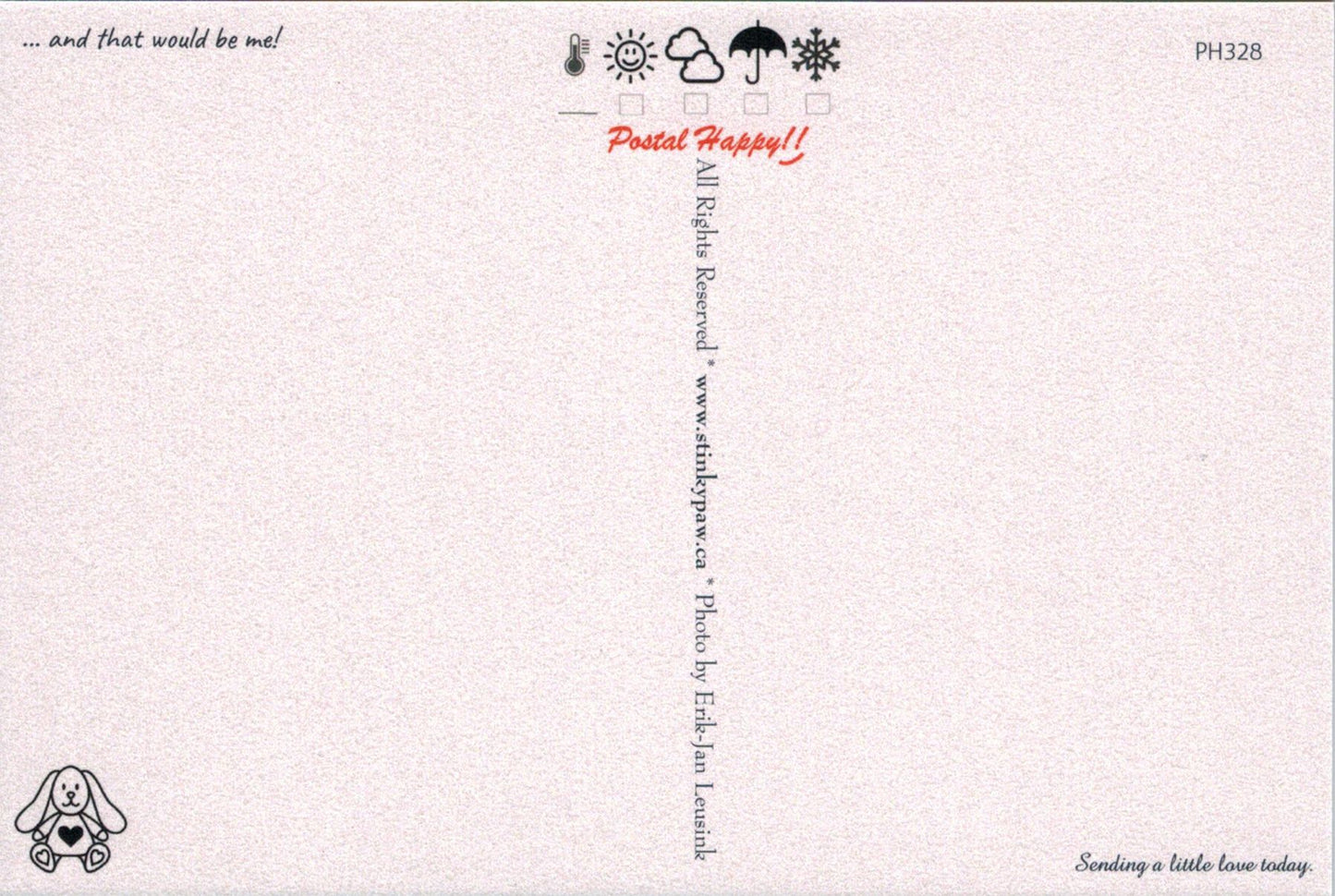 "Some Bunny Wants to Say Hello!" Postcard