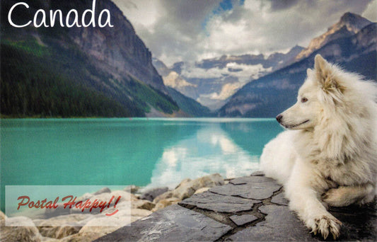 Ruff Day at Lake Louise Postcard