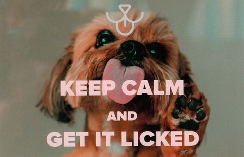 "Keep Calm and Get it Licked" Postcard