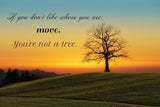 You're Not a Tree Postcard